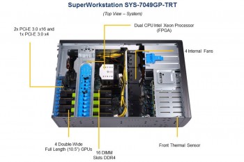 7049GP-TRT